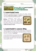 Vorschau - Arbeitsblätter - Landwirtschaft - Unterrichtsreihe mit 10 Infotexten, Aufgaben & Lösungen - Erdkunde Klasse 5/6 - Seite 3
