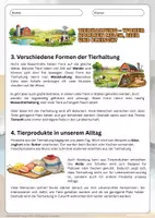 Vorschau - Arbeitsblätter - Tierhaltung einfach erklärt - Woher kommen Milch, Eier und Fleisch - Arbeitsblätter mit Lösungen - Erdkunde Klasse 5/6 - Seite 2