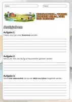Vorschau - Arbeitsblätter - Tierhaltung einfach erklärt - Woher kommen Milch, Eier und Fleisch - Arbeitsblätter mit Lösungen - Erdkunde Klasse 5/6 - Seite 3