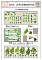Vorschau - Poster - Wald - Laub-und Nadelbäume, Bild-& Wortkarten, Plakate - Deckblatt