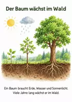 Vorschau - Experimente - Vom Baum zum Papier - Sachprojekt für Kita & Vorschule - Seite 3