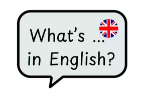 Vorschau - Poster - Basic English Classroom Phrases - Seite 1