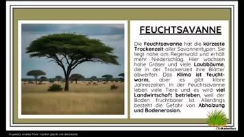 Vorschau - Merkblätter - Savanne - 21 Lernkarten zur Vegetationszone - Erdkunde Klasse 6/7 - Seite 3