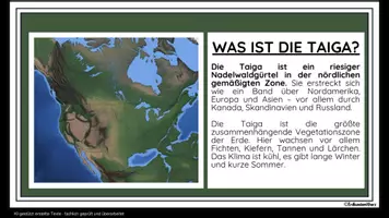 Vorschau - Arbeitsblätter - Taiga - 25 Lernkarten und 6 Arbeitsblätter mit Lösungen - Materialpaket Erdkunde Klasse 6/7 - Seite 2