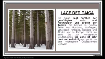 Vorschau - Arbeitsblätter - Taiga - 25 Lernkarten und 6 Arbeitsblätter mit Lösungen - Materialpaket Erdkunde Klasse 6/7 - Seite 3