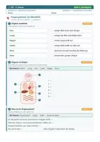 Vorschau - Arbeitsblätter - Ernährung Verdauung Biologie 5 - Seite 2
