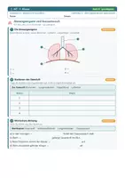 Vorschau - Arbeitsblätter - Atmung Blut Herz Biologie 7 - Seite 2