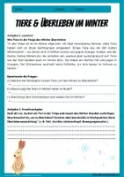 Vorschau - Arbeitsblätter - Taiga - Tiere und Überleben im Winter - Arbeitsblatt mit Lösungen - Erdkunde Klasse 6/7 - Deckblatt