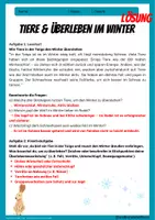 Vorschau - Arbeitsblätter - Taiga - Tiere und Überleben im Winter - Arbeitsblatt mit Lösungen - Erdkunde Klasse 6/7 - Seite 1