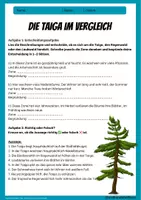 Vorschau - Arbeitsblätter - Taiga im Vergleich mit Tundra und Steppe - Arbeitsblatt mit Lösungen - Erdkunde Klasse 6/7 - Deckblatt