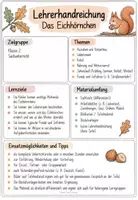 Vorschau - Unterrichtsreihen - Das Eichhörnchen - Unterrichtseinheit Sachunterricht Klasse 2 - Seite 1