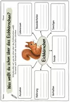 Vorschau - Unterrichtsreihen - Das Eichhörnchen - Unterrichtseinheit Sachunterricht Klasse 2 - Seite 2