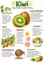 Vorschau - Arbeitsblätter - Lernplakat + Arbeitsblätter zum Thema "Kiwi" + Lösung & MP3 + - Deckblatt