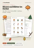 Vorschau - Stundenentwürfe - Bäume und Blätter im Herbst – Unterrichtseinheit Sachunterricht Klasse 2–3 - Deckblatt