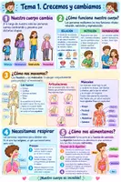 Vista previa - Refuerzo / NEE / Materiales de apoyo - Infografías 2º primaria - página 1