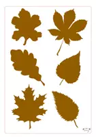 Vorschau - Arbeitsblätter - Klettmappe für den Herbst im Kindergarten - Seite 2