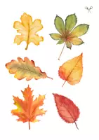 Vorschau - Arbeitsblätter - Klettmappe für den Herbst im Kindergarten - Seite 3