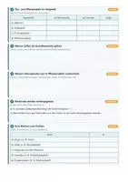 Vorschau - Arbeitsblätter - Genetik Vererbung Biologie 9 - Seite 3