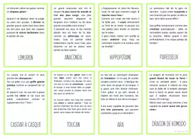 Aperçu - Cartes / Images - Cartes nomenclature animaux forêt tropicale - Page 1