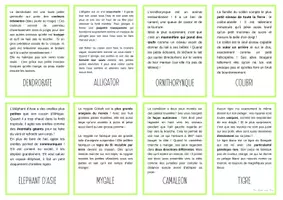 Aperçu - Cartes / Images - Cartes nomenclature animaux forêt tropicale - Page 3