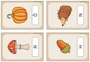 Vorschau - Arbeitsblätter - Lesespaziergang Herbst | Übung Lesen für Klasse 1-4 (auch im JüL) | 9 Niveaustufen mit Differenzierung für schnelle Leser - Seite 3