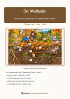 Vorschau - Arbeitsblätter - Der Waldboden – Lesespurgeschichte mit Rätselaufgaben (Klasse 3) - Seite 1
