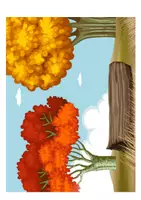 Vorschau - Stundenentwürfe - DaZ Herbst Wortschatz - mit DaZ Unterrichtsreihen für Klasse 1 - 4 - Seite 2