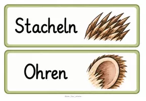 Vorschau - Unterrichtsreihen - Der Igel - Unterrichtseinheit Sachunterricht Klasse 2-3 - Seite 3