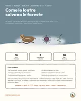 anteprima - Giochi - Mistero di biologia: Come le lontre salvano le foreste - Pagina di copertina