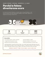 anteprima - Giochi - Mistero di biologia: Perché le falene diventarono scure - Pagina di copertina