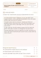 Vorschau - Stundenentwürfe - Warum haben Straßen Zebrastreifen und Ampeln? Einzelne Sachunterrichtsstunden mit Lösungen - Seite 3