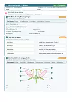 Vorschau - Arbeitsblätter - Blütenpflanzen Natur und Technik 5 Gymnasium - Seite 3