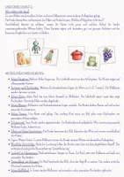 Vorschau - Unterrichtsreihen - Anlaute Bildkarten & Buchstabenkarten | Anlautspiele für Klasse 1 & Vorschule | fibelunabhängig - Seite 2