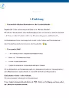 Vorschau - Anderer Materialtyp - 5 Nikolaus Phantasiereisen für die Grundschule - Seite 2
