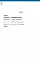 Vorschau - Spiele - Materialpaket - Weihnachtlicher Sportunterricht mit Mehrwert - Seite 2