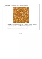 Vorschau - Klassenarbeiten - Klassenarbeit Mathematik Klasse 5 – Daten und natürliche Zahlen mit Bewertungsbogen - Seite 2