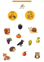 Vorschau - Fördermaterial/Inklusion - Herbst Arbeitsheft Visuelle Wahrnehmung Förderschule Geistige Entwicklung - Seite 2