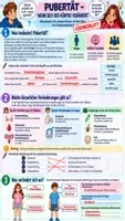 Vorschau - Unterrichtsreihen - 🧬 Pubertät & Geschlechtsorgane | Sexualkunde Klasse 7/8 | Arbeitsblätter + Lösungen + Reflexion + 90-Min.-Unterrichtsplanung Biologie (Bio)🧑🏫 - Seite 3