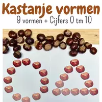Voorbeeld - 20 Kastanje vormen | Herfst activiteit voor peuters kleuters - Voorblad