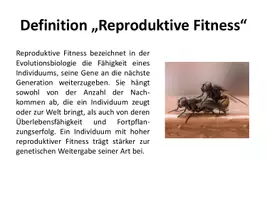 Vorschau - Stundenentwürfe - Evolution des kooperativen Verhaltens - Kosten-Nutzen-Analyse - Seite 3
