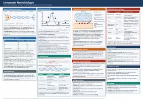 Vorschau - Merkblätter - Lernposter: Neurobiologie - Seite 1