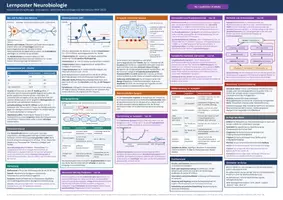 Vorschau - Merkblätter - Lernposter: Neurobiologie - Seite 3
