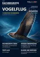 Vorschau - Arbeitsblätter - 🕊️ 14 FACHBEGRIFFE | Vogelflug | Karteikarten + Wortspeicher + Swap It Klassensatz + Übungsblatt + Test A/B + Lösungen + Smartboard-Quiz 🎮 - Deckblatt