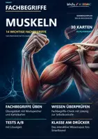 Vorschau - Arbeitsblätter - 💪 14 FACHBEGRIFFE | Muskeln | Karteikarten + Wortspeicher + Swap It Klassensatz + Übungsblatt + Test A/B + Lösungen + Smartboard-Quiz 🎮 - Deckblatt