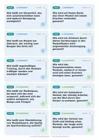 Vorschau - Arbeitsblätter - 💪 14 FACHBEGRIFFE | Muskeln | Karteikarten + Wortspeicher + Swap It Klassensatz + Übungsblatt + Test A/B + Lösungen + Smartboard-Quiz 🎮 - Seite 2