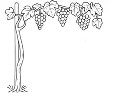 anteprima - Programmi scolastici / Materiali per docenti - La vite,l’uva e la vendemmia - Pagina di copertina