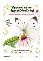 Vorschau - Arbeitsblätter - Naturwissen für Kinder – Schmetterlinge & Schnecken | Mitmachmaterial - Seite 2