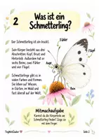 Vorschau - Arbeitsblätter - Naturwissen für Kinder – Schmetterlinge & Schnecken | Mitmachmaterial - Seite 3