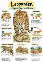 Vorschau - Arbeitsblätter - Lernplakat + Arbeitsblätter zum Thema "Leopard" + Lösung & MP3 + Mindmap + Infografik - Deckblatt