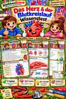 Vorschau - Test - Wissenstest: Das Herz und der Blutkreislauf
– Menschlicher Körper Sachunterricht - Deckblatt